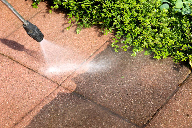 Deck Cleaning Services in La Habra Heights, CA